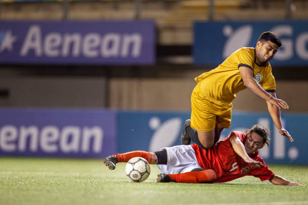 佩德罗的新 佩德罗的新